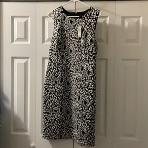 Ann Taylor Dress